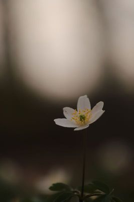 IMG_1510