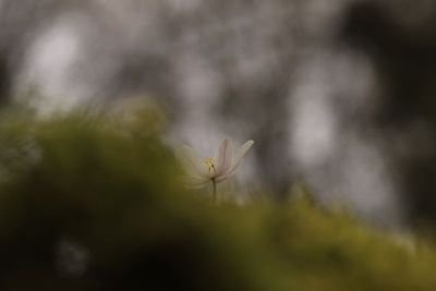 IMG_1577