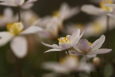 IMG_1629