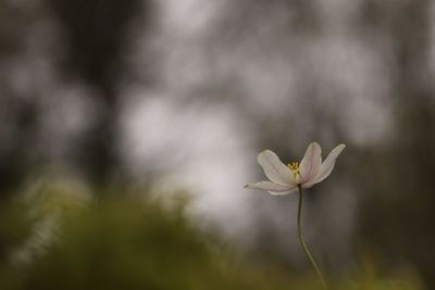 IMG_1578