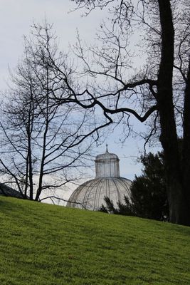 g13/03/717403/3/173669044.de556a00.JPEG
