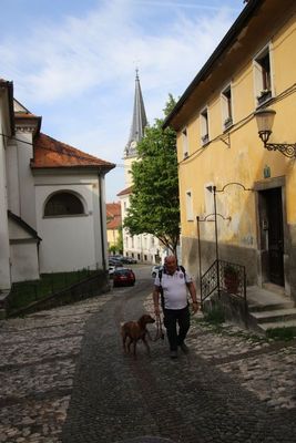 La monte au chteau  pieds est trs agrable dans ces jolies ruelles au charme d'antan.