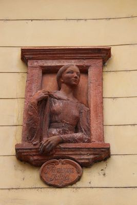 IMG_9677