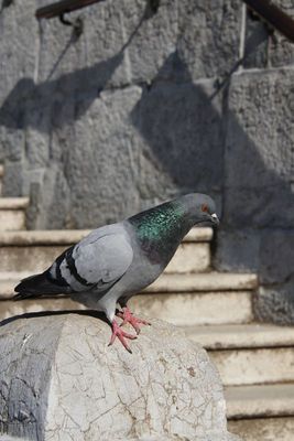 IMG_9805