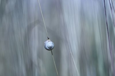 IMG_1935