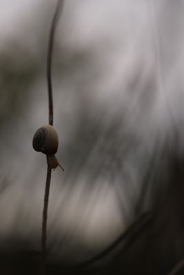 IMG_3769