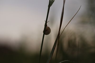 IMG_3757
