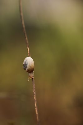 IMG_3773