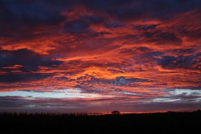 IMG_4852