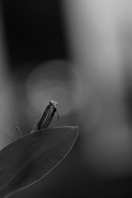 IMG_5950
