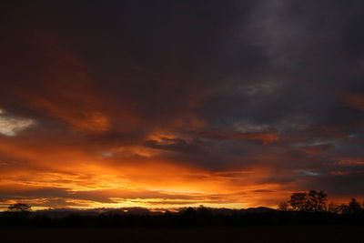 IMG_6062