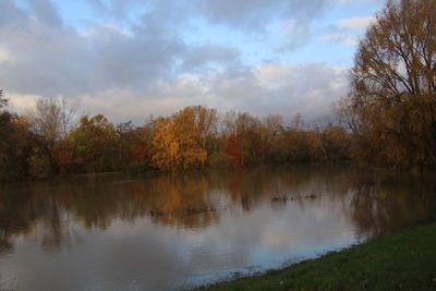 IMG_6358