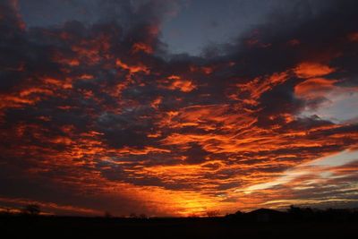IMG_6803
