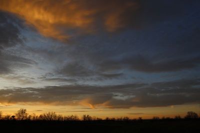 IMG_6969