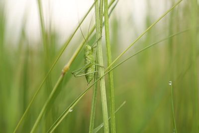IMG_4361