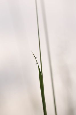 IMG_4287