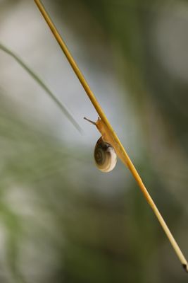 IMG_4588