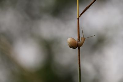 IMG_4637