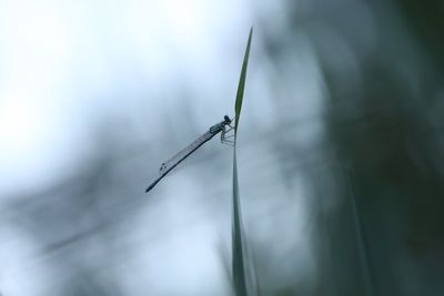 IMG_5185