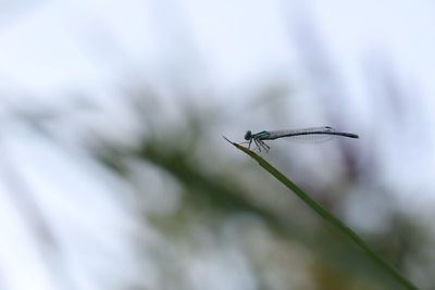 IMG_5263