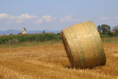 IMG_1040