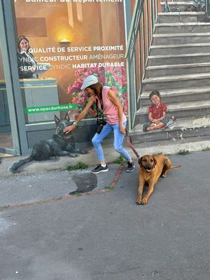 It's me again petting this black dog - C'est  nouveau moi en train de caresser ce chien noir