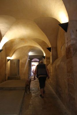 Les Traboules sont des passages pitons permettant de passer d'une rue  l'autre  travers les cours intrieures des immeubles.