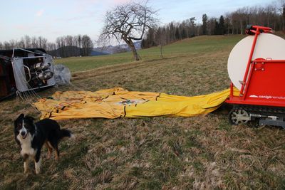 The balloon cables are securely attached to the basket. Scooby, our pilot's dog, greets us cheerfully.