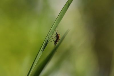 IMG_6892