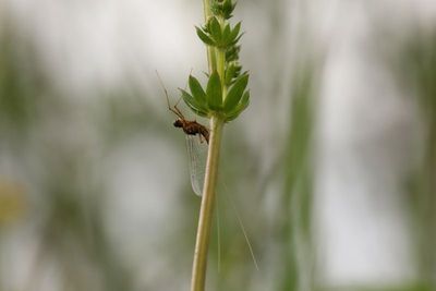 IMG_6932