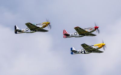 P-51 Mustangs 