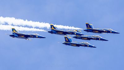 Vic Formation
