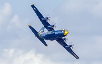 Fat Albert