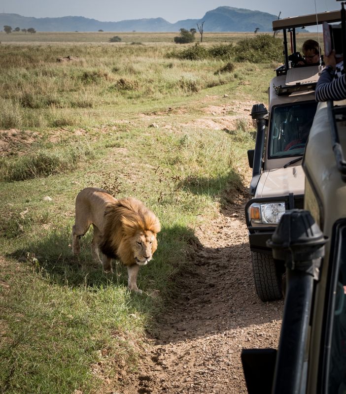 Close Encounter, Serengeti SP, Tanzania-4103-75.jpg