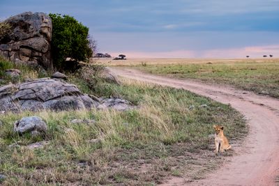  Serengeti SP, Tanzania-2291-39.jpg