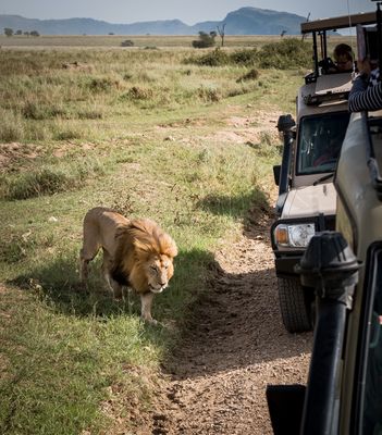 Close Encounter, Serengeti SP, Tanzania-4103-75.jpg