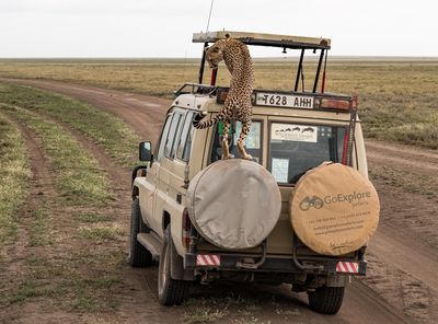 Go Explore, Serengeti SP, Tanzania-2090-31.jpg