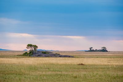Kopjes (ancient rocks), Serengeti SP, Tanzania-2134-32.jpg