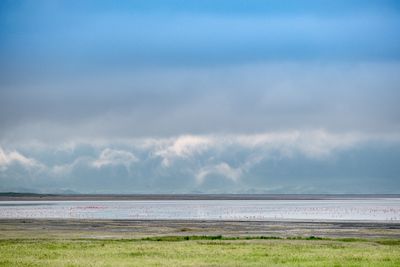 Ngorongoro Crater, Ngorongoro SP, Tanzania-7537-112.jpg