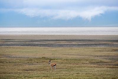 Ngorongoro_35-111.jpg