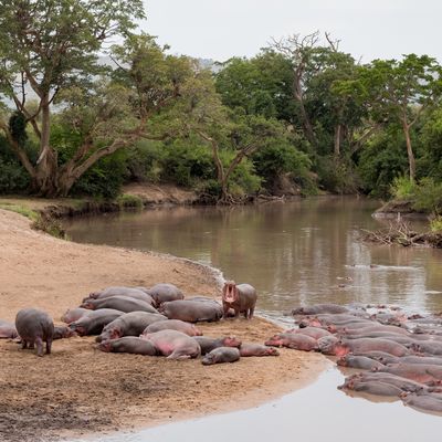 River Bend, Serengeti SP, Tanzania-5801-94.jpg