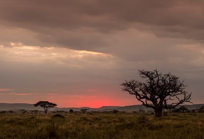 Serengeti Afterglow, Tanzania-2358-43.jpg
