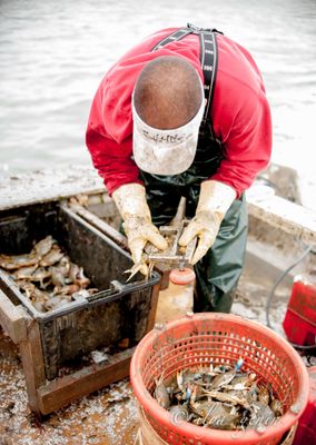 Watermen, Virginia, Eastern Shore-3.JPG