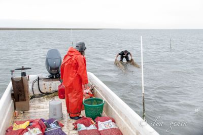 Watermen, Virginia, Eastern Shore-8.JPG