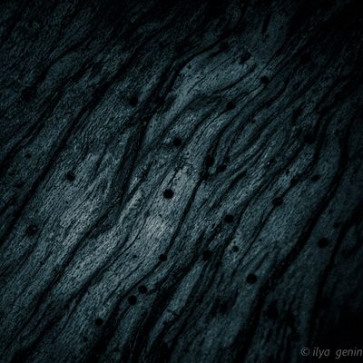 _DSC9308.jpg