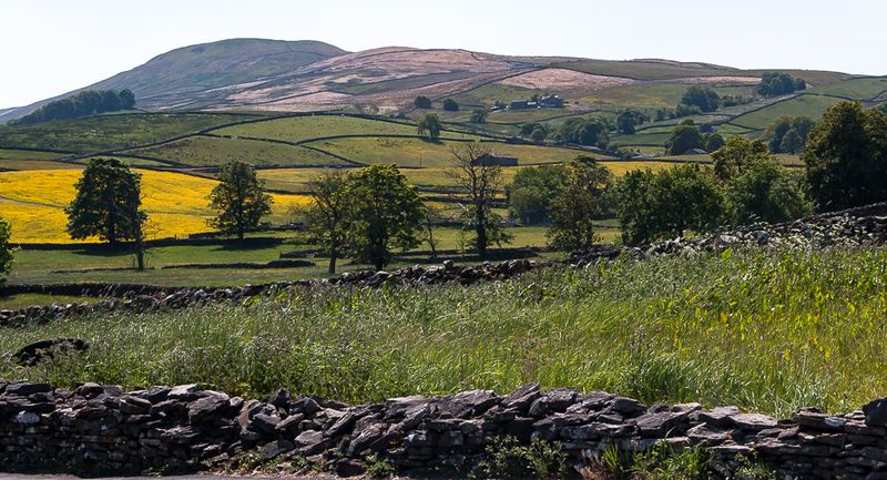 The Fields of the Yorkshire Dales