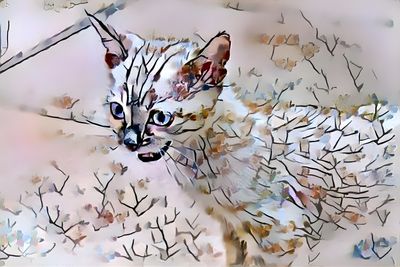 Prickly Thorn But Sweetly Worn