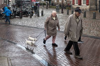 Walking the Dogs in Amsterdam