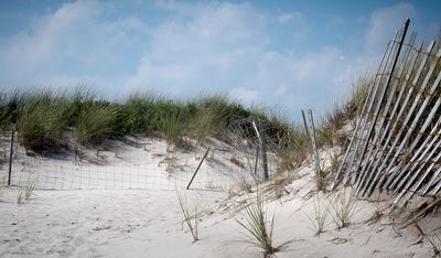 Beach Fencing on the Dunes