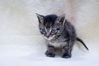 Just a Baby